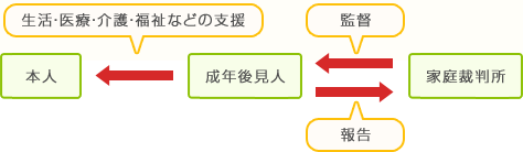 本人→成年後見人/生活・医療・介護・福祉などの支援 成年後見人→家庭裁判所/報告 成年後見人←家庭裁判所/監督